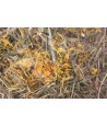 Excellent - Kruidenhooi Goudsbloem Brandnetel. 500gr