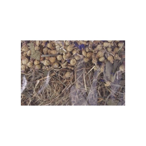 Excellent - Kruidenhooi Korenbloem Berkenblad. 500gr