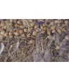 Excellent - Kruidenhooi Korenbloem Berkenblad. 500gr