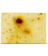Beloved Vegan Pet Shampoo Bar 110 GR