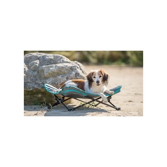 Trixie - Stretcher Voor Hond Donkergrijs / Petrol, 88x88x32cm