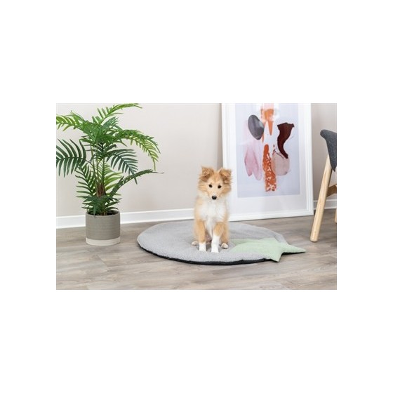 Trixie Puppy Ligmat Ster Grijs / Mintgroen 86X80X2 CM
