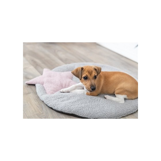 Trixie Puppy Ligmat Ster Grijs / Lila 55X61X2 CM