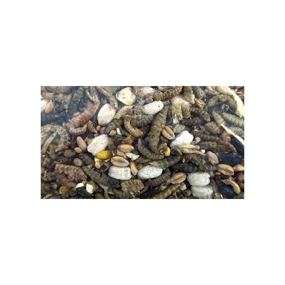 Utopia - Strooivoer Met Insecten 1,8kg