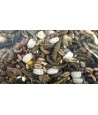 Utopia - Strooivoer Met Insecten 1,8kg