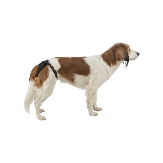 Trixie Beschermbroekje Comfort Mesh Materiaal Zwart 30-37 CM