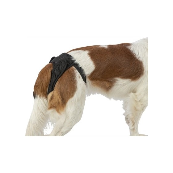 Trixie Beschermbroekje Comfort Mesh Materiaal Zwart 35-43 CM