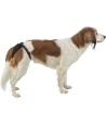 Trixie Beschermbroekje Comfort Mesh Materiaal Zwart 35-43 CM
