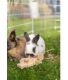 Trixie Snack Cups Voor Ratten En Konijnen Hout 15X45X6 CM