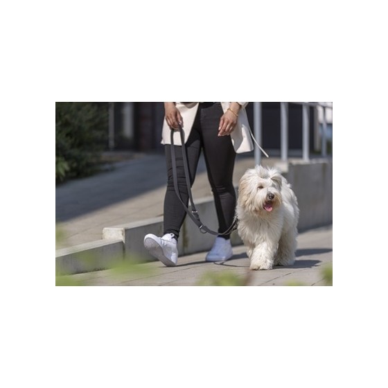 Trixie - Citystyle Hondenriem Verstelbaar Pvc Zwart, 200x1,3cm