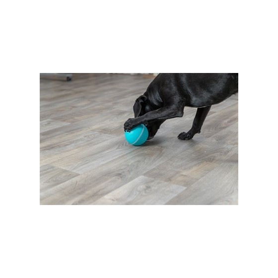 Trixie Snackbal Hond Kunststof / Tpr Blauw 7,5 CM