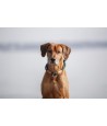 Trixie - Be Nordic Halsband Hond Half-Slip Zwart / Zand 35x0,6cm