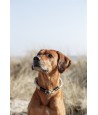 Trixie - Be Nordic Halsband Hond Half-Slip Zand / Zwart, 50x1,3cm