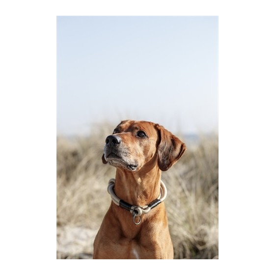 Trixie - Be Nordic Halsband Hond Half-Slip Zand / Zwart, 55x1,3cm