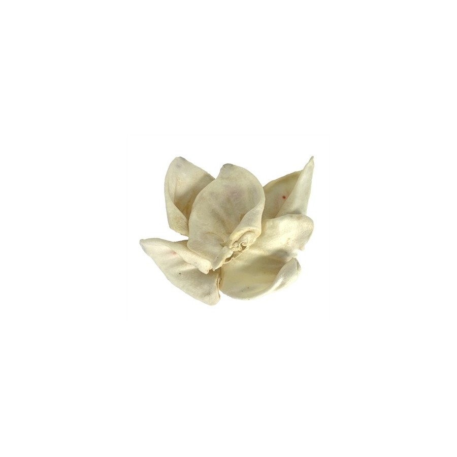 Petsnack Varkensoren Gepoft 60 ST