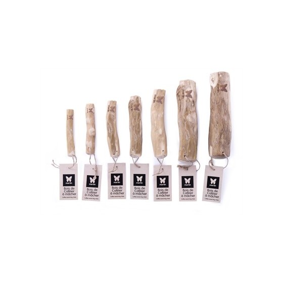 Martin - Kauwwortel Koffiehout. XL