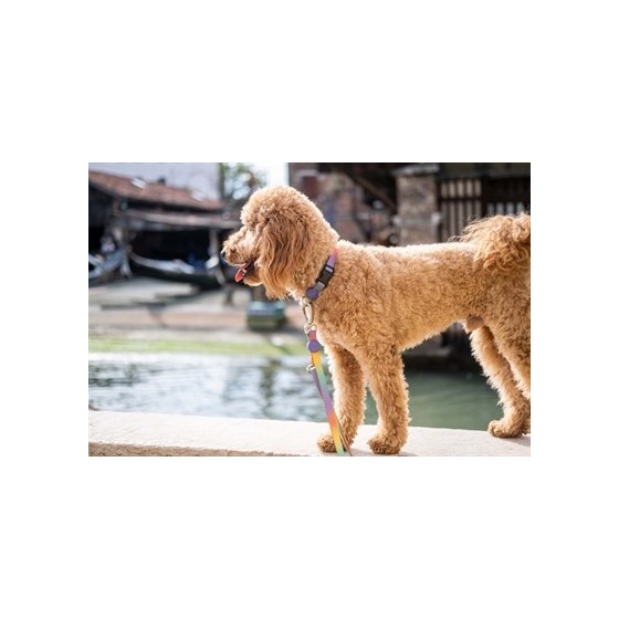 Morso Halsband Gerecycled Spring Blossom 43-70X2,5 CM