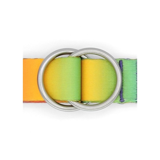 Morso Hondenriem Verstelbaar Gerecycled Spring Blossom 75-230X1,5 CM 1-4 KG