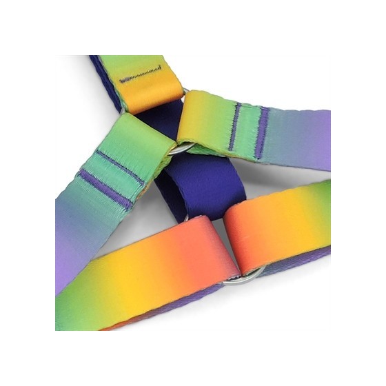 Morso Hondentuig H-Tuig Gerecycled Spring Blossom 40-55X1,5 CM