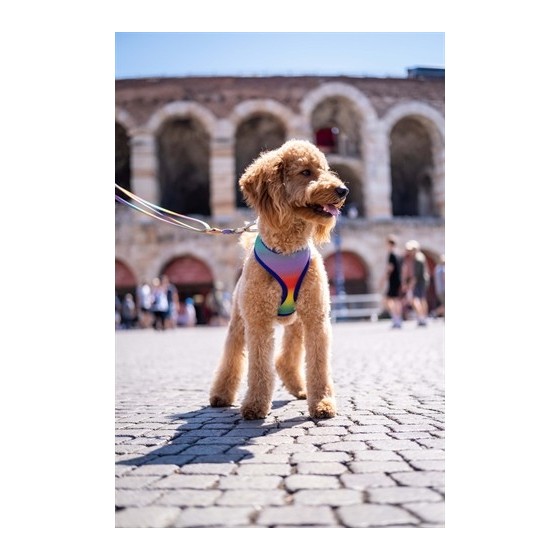 Morso Hondentuig Body Mesh Gerecycled Spring Blossom 56-62 CM