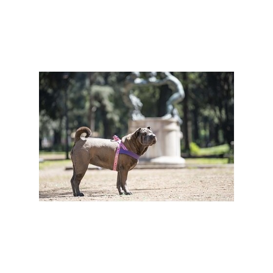 Morso Norwegian Hondentuig Gerecycled Sweet Tweet Roze 39-48X35 CM