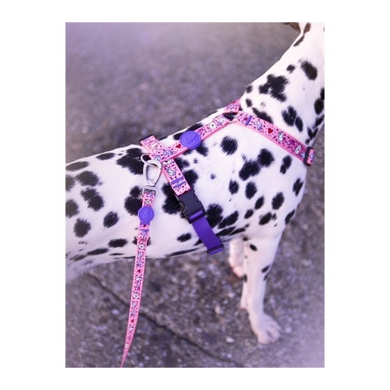 Morso Hondentuig H-Tuig Gerecycled Sweet Tweet Roze 50-70X1,5 CM