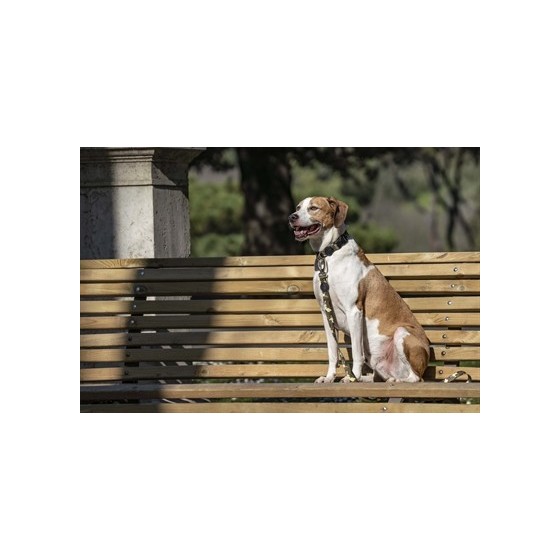 Morso Hondenriem Gerecycled Full Metal Dog Bruin 120X1,5 CM TOT 6 KG