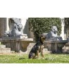 Morso Hondenriem Verstelbaar Gerecycled Full Metal Dog Bruin 65-200X2,5 CM 20-80 KG