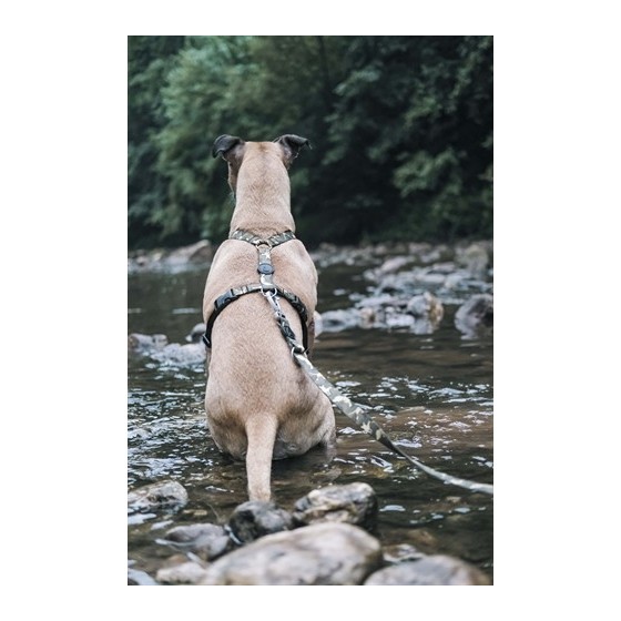 Morso Hondentuig H-Tuig Gerecycled Full Metal Dog Bruin 70-100X2,5 CM