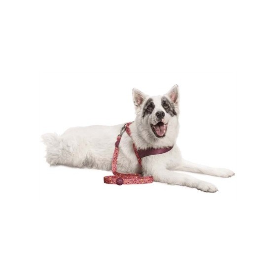 Morso Hondenriem Gerecycled Pink Think Roze 120X1,5 CM TOT 6 KG