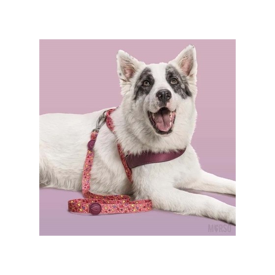 Morso Hondenriem Gerecycled Pink Think Roze 120X1,5 CM TOT 6 KG