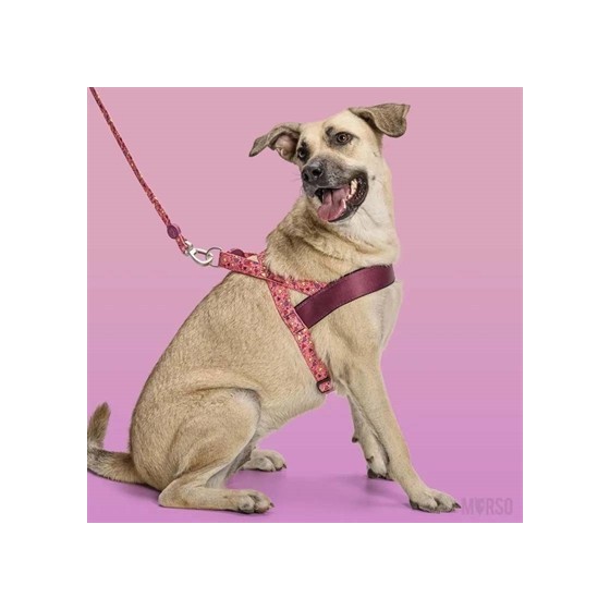 Morso Norwegian Hondentuig Gerecycled Pink Think Roze 46-60X42 CM