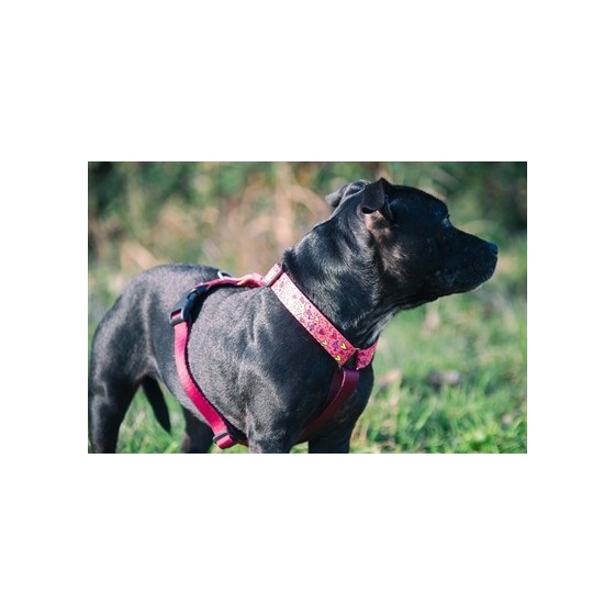 Morso Hondentuig H-Tuig Gerecycled Pink Think Roze 60-80X2,5 CM