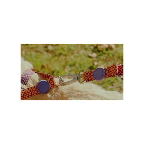 Morso Hondenriem Verstelbaar Gerecycled Urban Lizard Rood 75-230X1,5 CM 4-20 KG