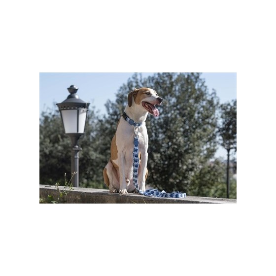 Morso Halsband Hond Gerecycled Splash Blauw 43-70X2,5 CM