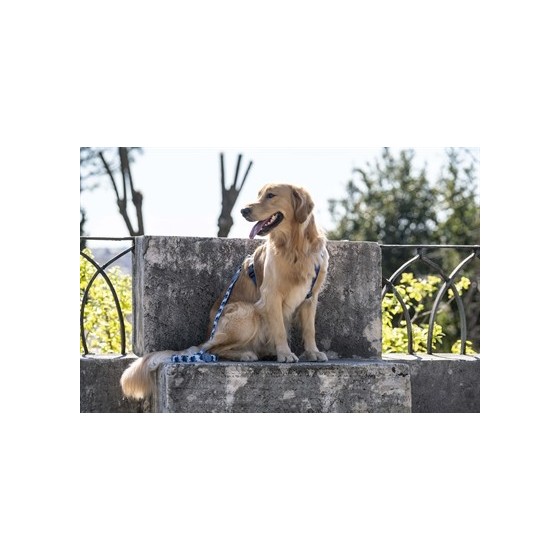 Morso Hondenriem Gerecycled Splash Blauw 120X1,5 CM TOT 6 KG