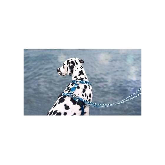 Morso Hondenriem Verstelbaar Gerecycled Splash Blauw 75-230X1,5 CM 1-4 KG