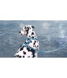 Morso Hondenriem Verstelbaar Gerecycled Splash Blauw 75-230X1,5 CM 4-20 KG