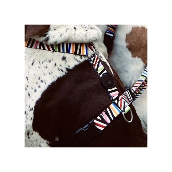 Morso Hondentuig H-Tuig Gerecycled Spaghetti Incident 40-55X1,5 CM