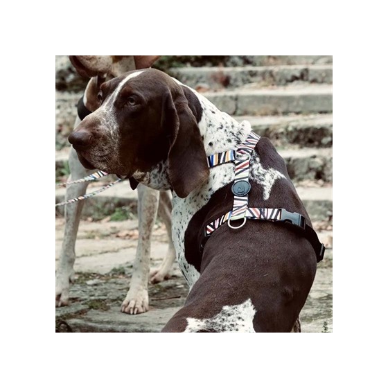 Morso Hondentuig H-Tuig Gerecycled Spaghetti Incident 40-55X1,5 CM