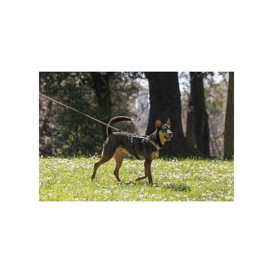 Morso Hondentuig H-Tuig Gerecycled Spaghetti Incident 40-55X1,5 CM