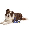Morso Hondenriem Gerecycled Color Invaders Paars 120X1,5 CM TOT 6 KG
