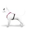 Morso Hondentuig H-Tuig Gerecycled Bubble Leo Roze 40-55X1,5 CM