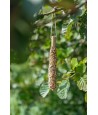 Trixie - Snack Bar Met Gierst 19cm 55gr