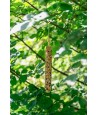 Trixie - Snack Bar Met Gierst XL 30cm 170gr