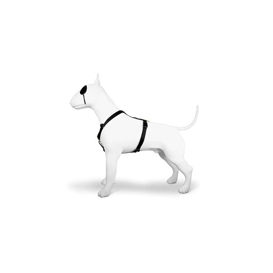 Morso Hondentuig H-Tuig Gerecycled Gold Caviar Goud 50-70X1,5 CM