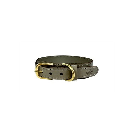 Sazzz Halsband Hond Pioneer...
