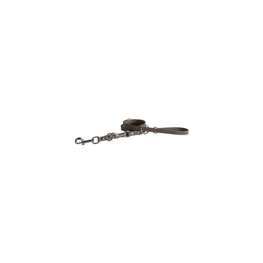 Sazzz Hondenriem Fearless Vintage Verstelbaar Leer Bruin 113/156/181X1,5 CM