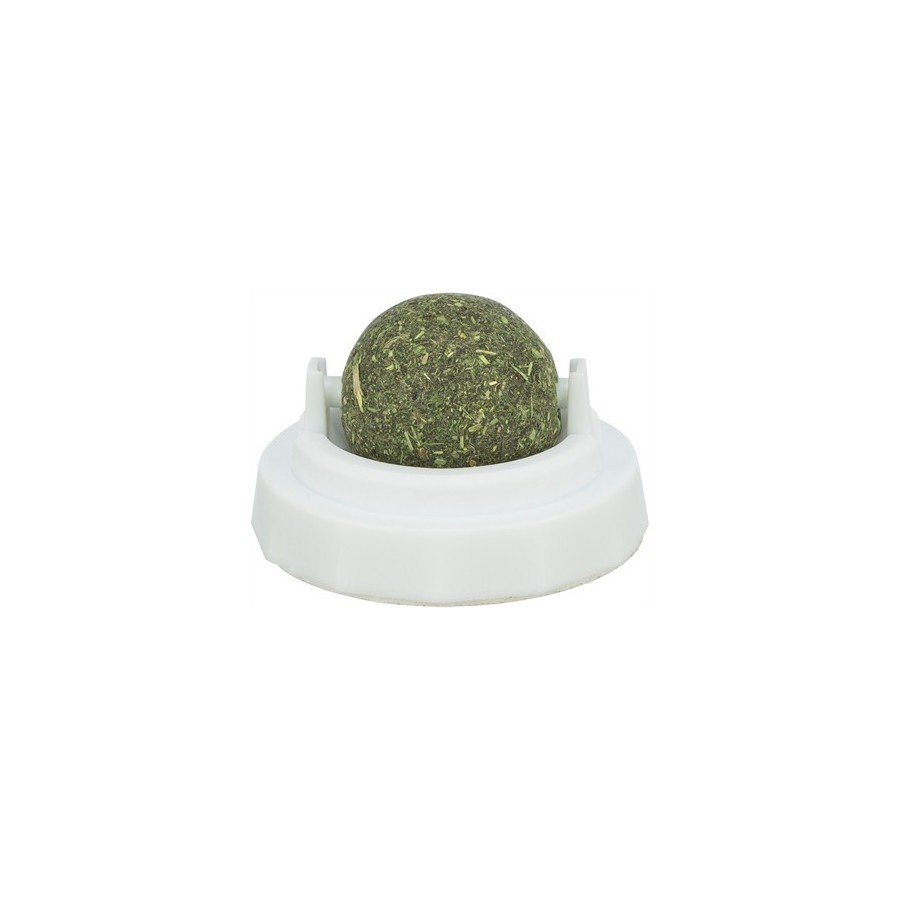 Trixie - Catnip Bal Met Houder Zelfklevend. 5cm