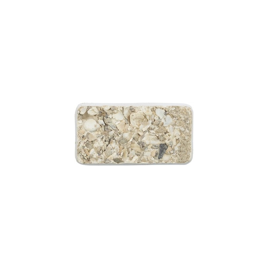 Trixie Piksteen Met Schelpen Mineralen En Mosselen 30 GR